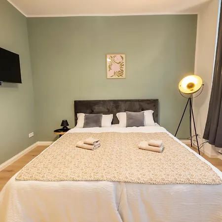 Altstadt-modern-zentral-parkplatz-wlan Apartment *